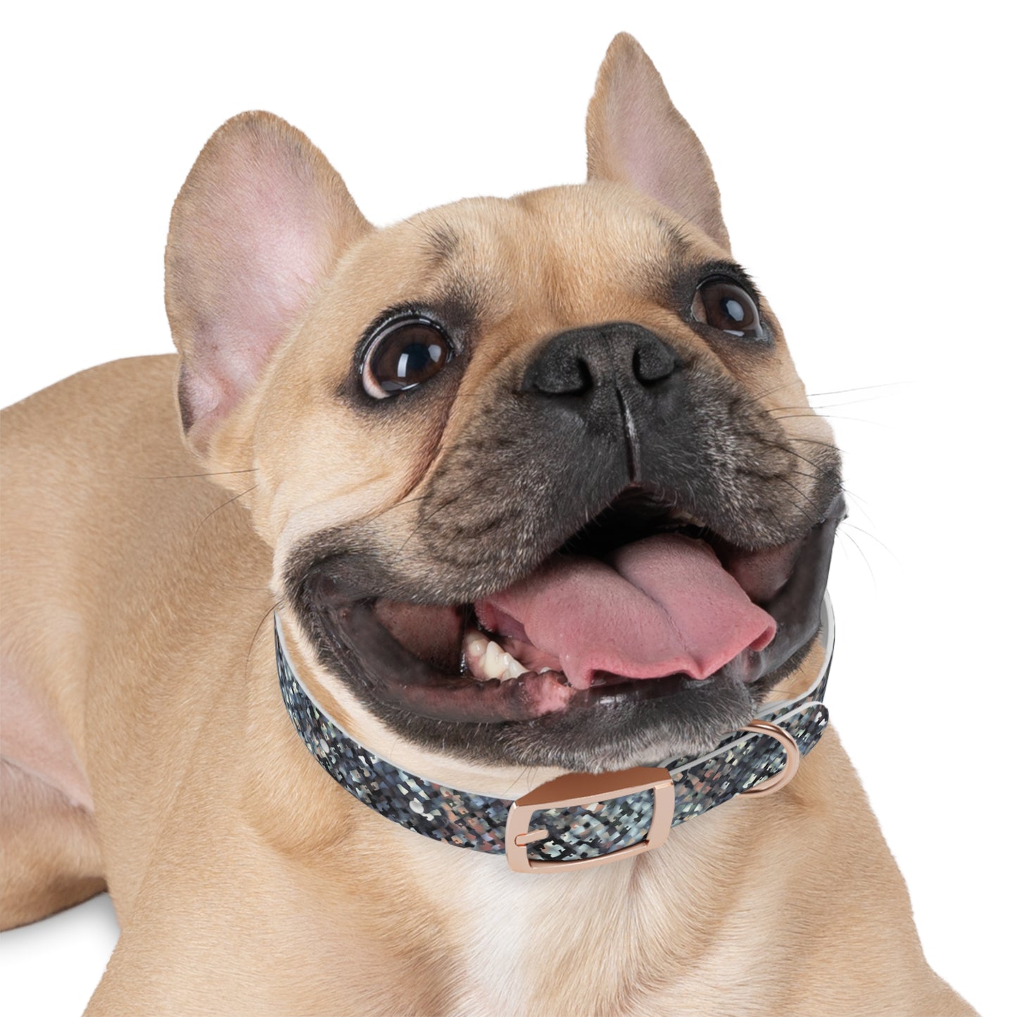 Dog Collar "MEZZO" col. Pink Cloud - Stylish & Durable Pet Accessory