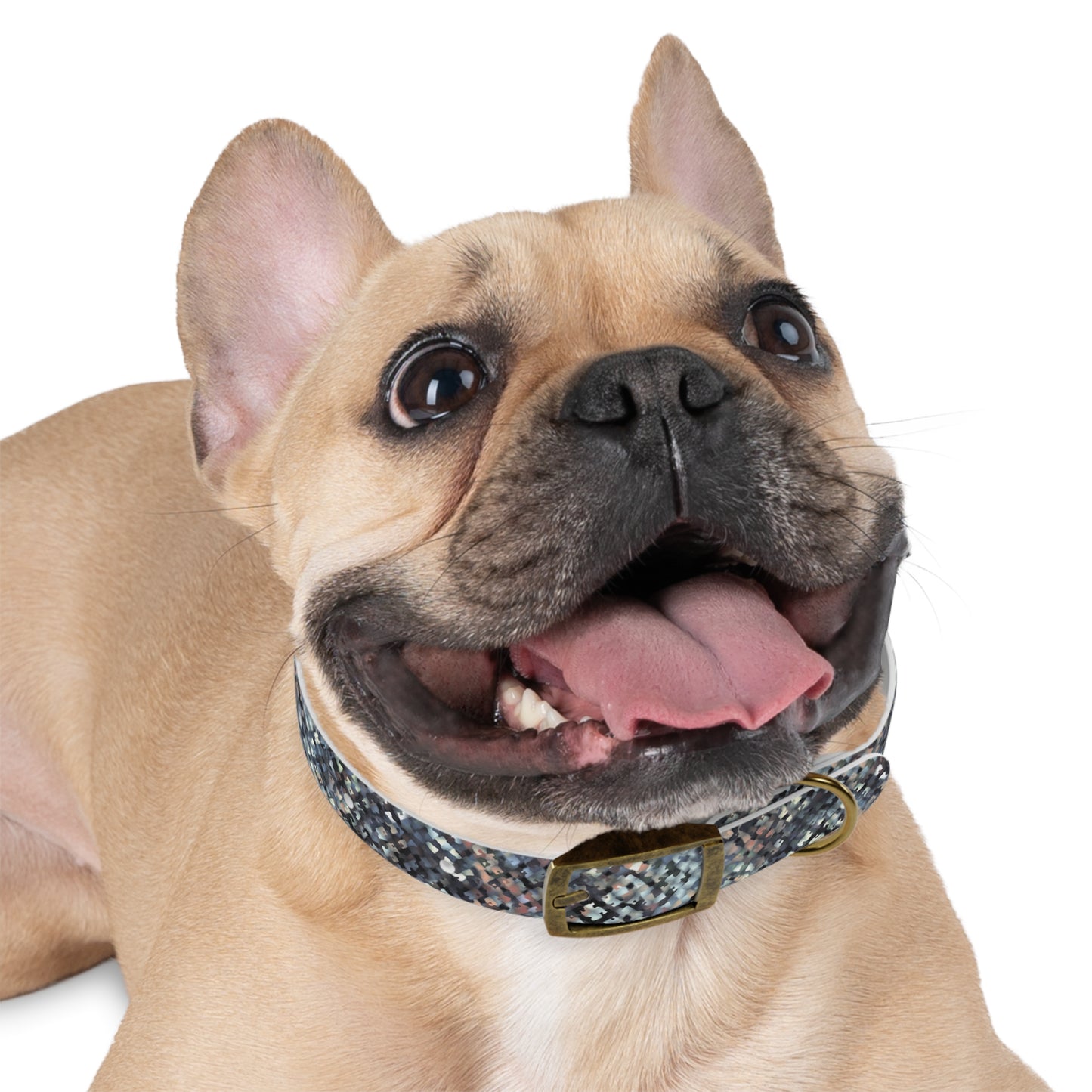 Dog Collar "MEZZO" col. Pink Cloud - Stylish & Durable Pet Accessory