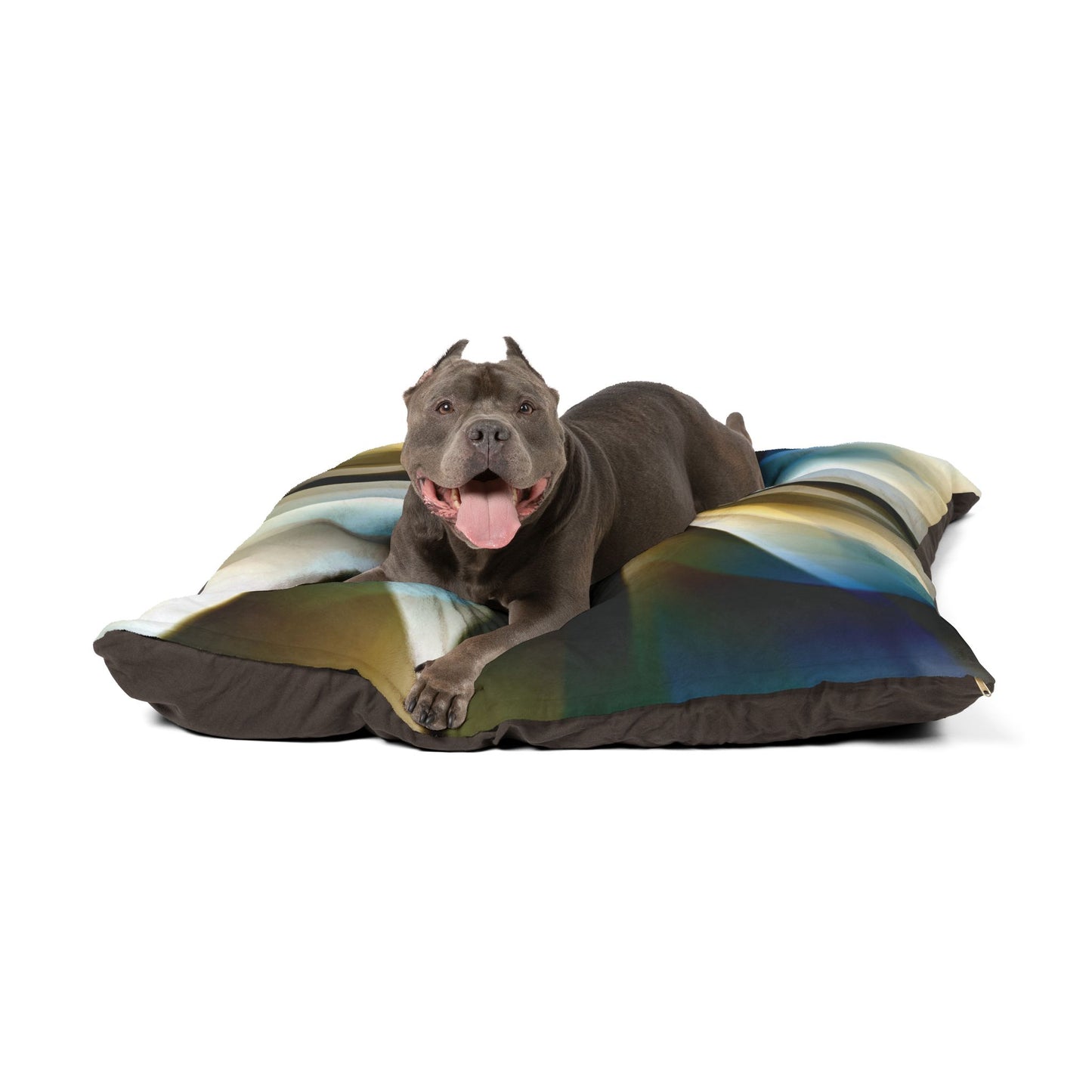 Stylish Abstract Pet Bed for Modern Home Décor "Desert Star"